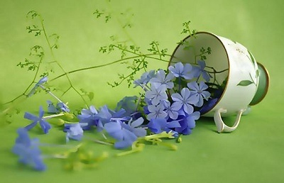 ����ũ��� ����