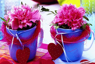 ����ũ��� ����