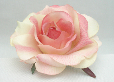 ����ũ��� ����