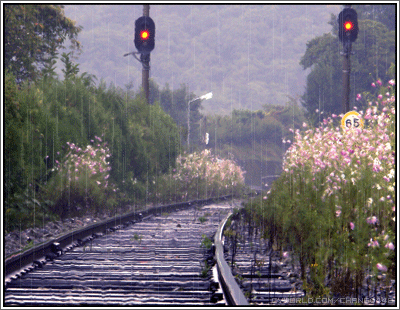 ����ũ��� ����