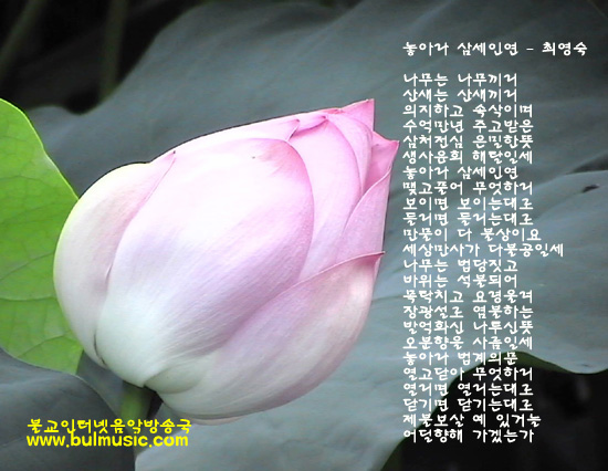 ����ũ��� ����