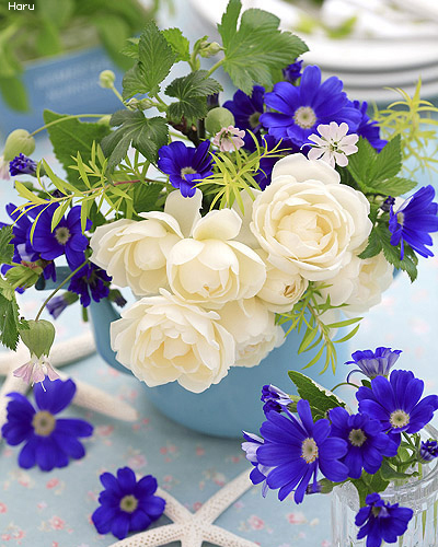 ����ũ��� ����