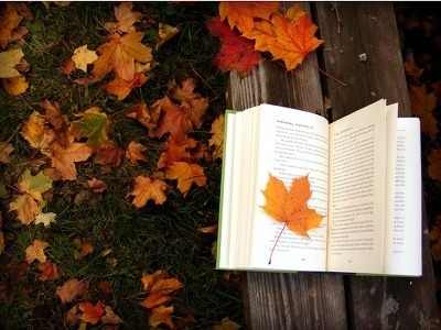 ����ũ��� ����