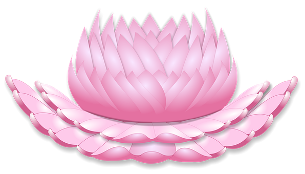 ����ũ��� ����