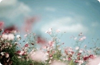 ����ũ��� ����