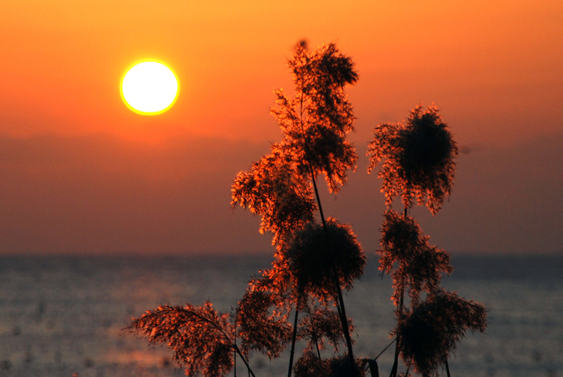 ����ũ��� ����