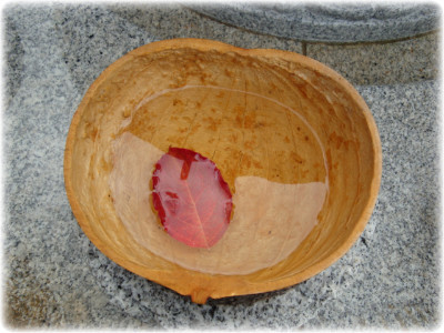 ����ũ��� ����