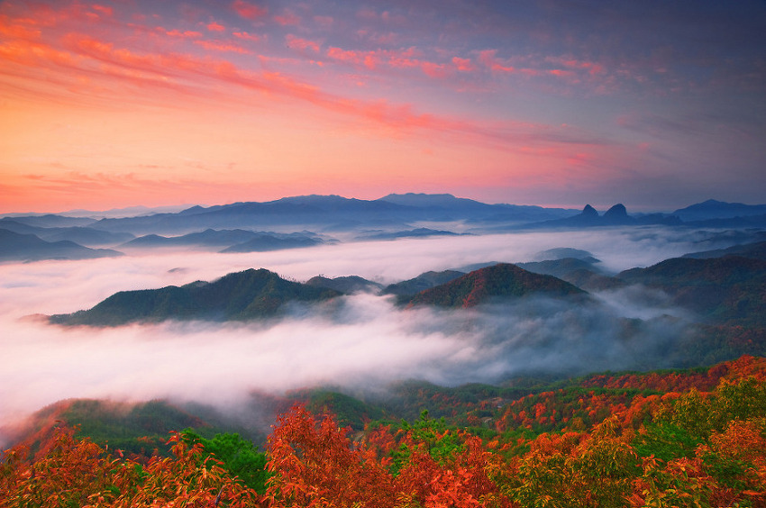 ����ũ��� ����