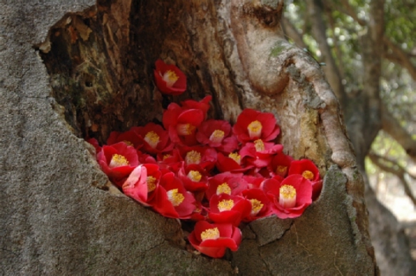 ����ũ��� ����