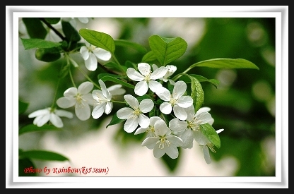 ����ũ��� ����