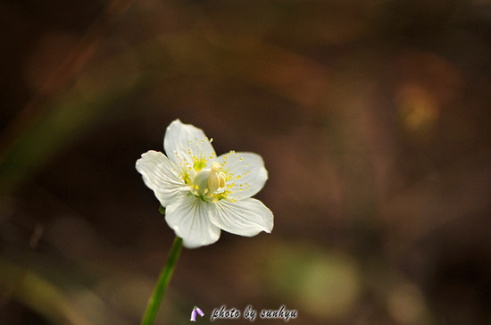 ����ũ��� ����