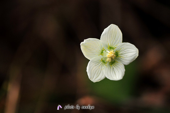 ����ũ��� ����