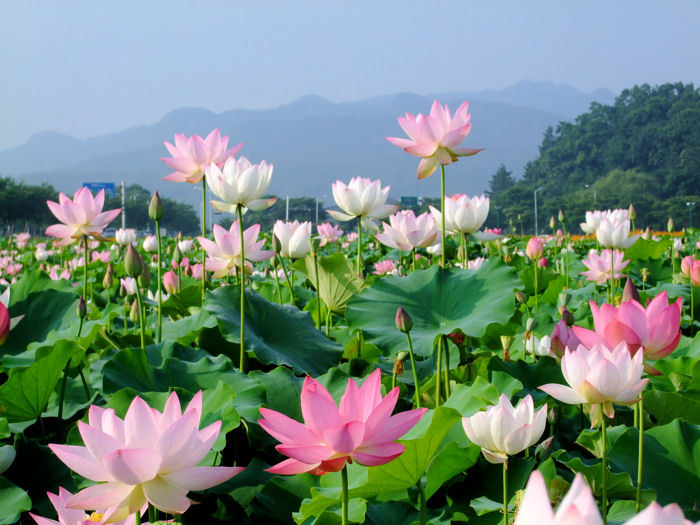 ����ũ��� ����