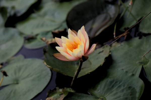 ����ũ��� ����