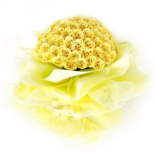 ����ũ��� ����