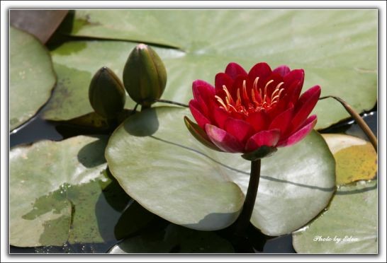 ����ũ��� ����