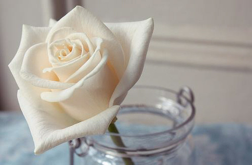 ����ũ��� ����