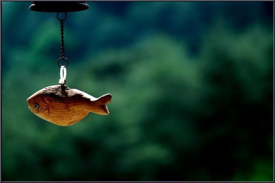 ����ũ��� ����