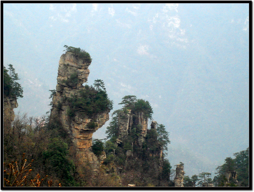 ����ũ��� ����