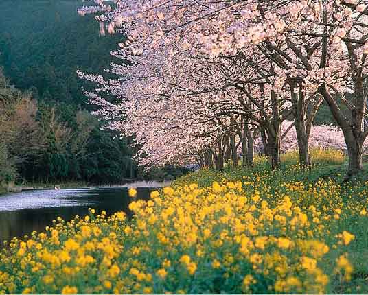 ����ũ��� ����