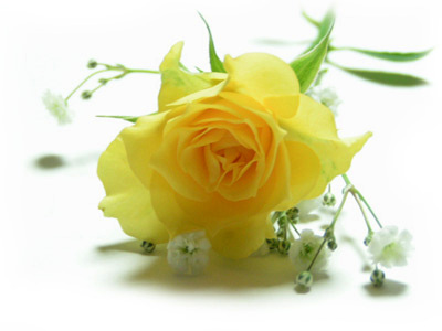 ����ũ��� ����