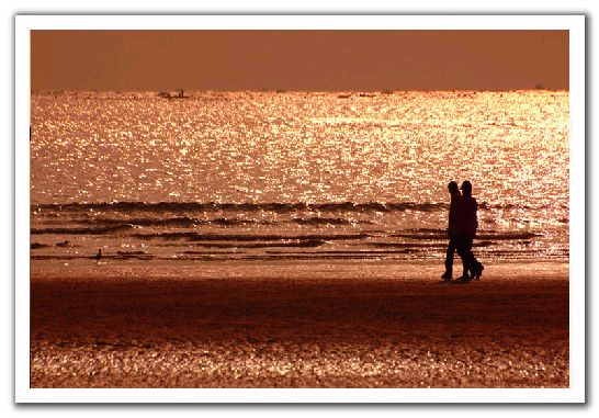 ����ũ��� ����