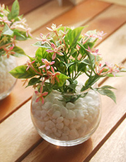 ����ũ��� ����