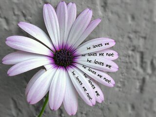 ����ũ��� ����