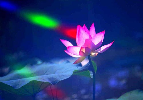 ����ũ��� ����