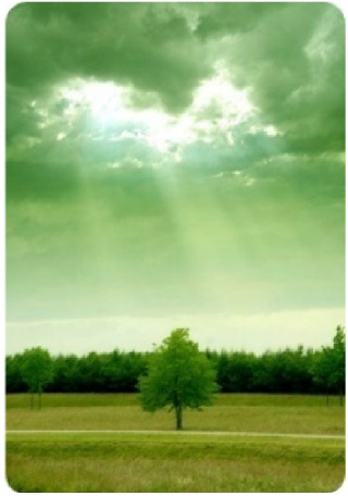 ����ũ��� ����