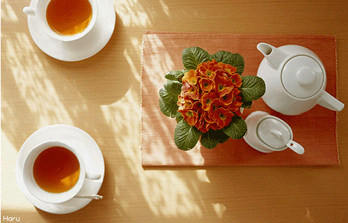 ����ũ��� ����