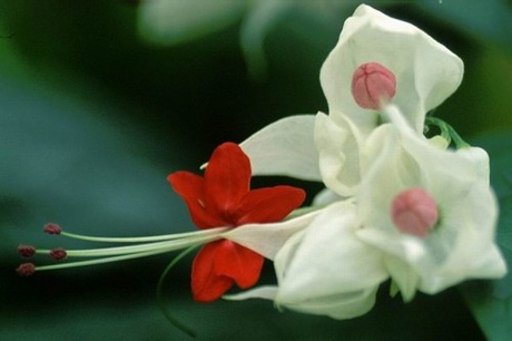 ����ũ��� ����