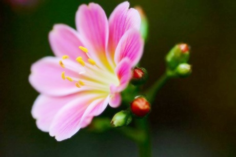 ����ũ��� ����