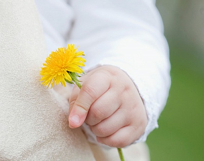 ����ũ��� ����