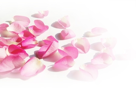 ����ũ��� ����