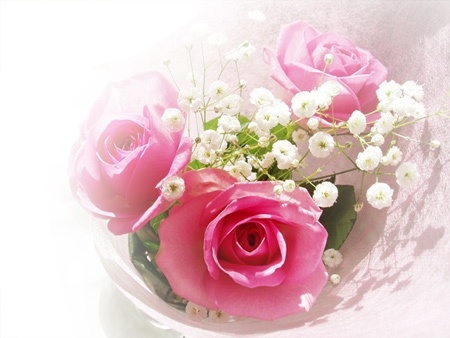 ����ũ��� ����