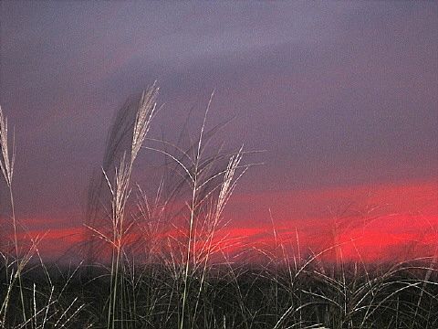 ����ũ��� ����