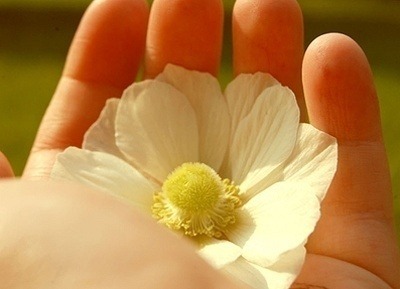 ����ũ��� ����