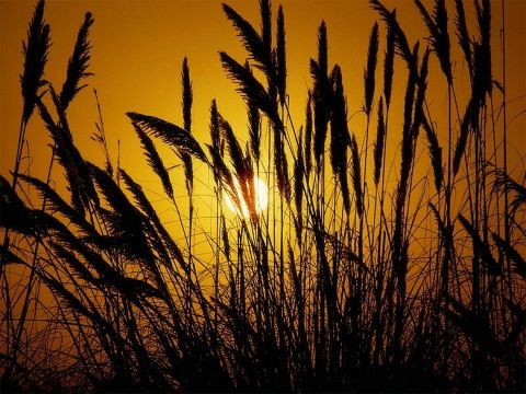 ����ũ��� ����