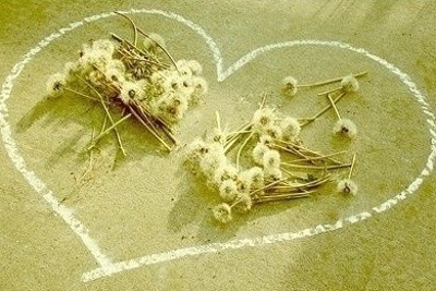 ����ũ��� ����