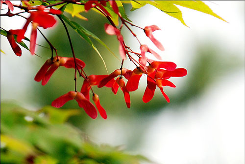 ����ũ��� ����