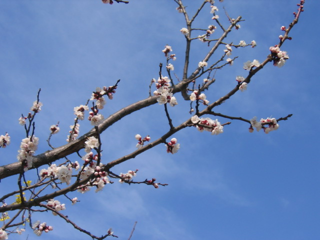 ����ũ��� ����