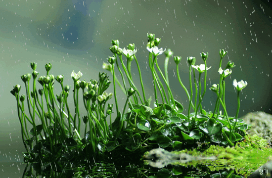 ����ũ��� ����