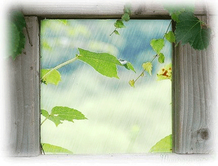 ����ũ��� ����