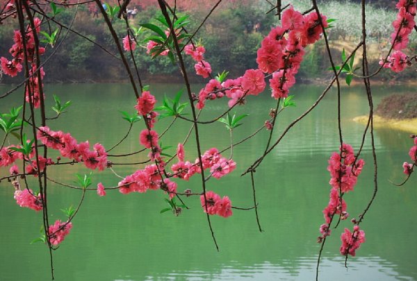 ����ũ��� ����