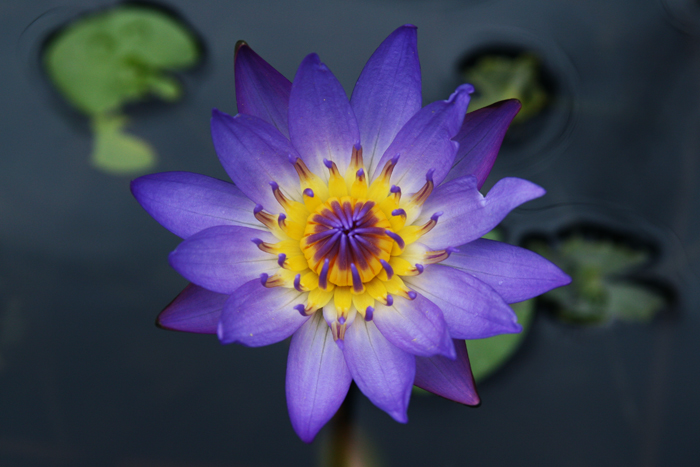 ����ũ��� ����