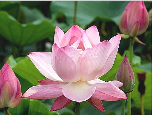 ����ũ��� ����