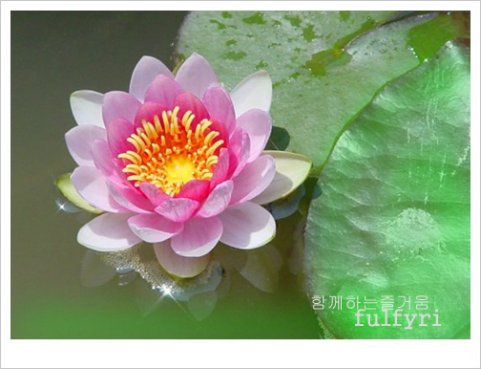 ����ũ��� ����