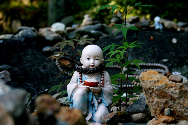 ����ũ��� ����