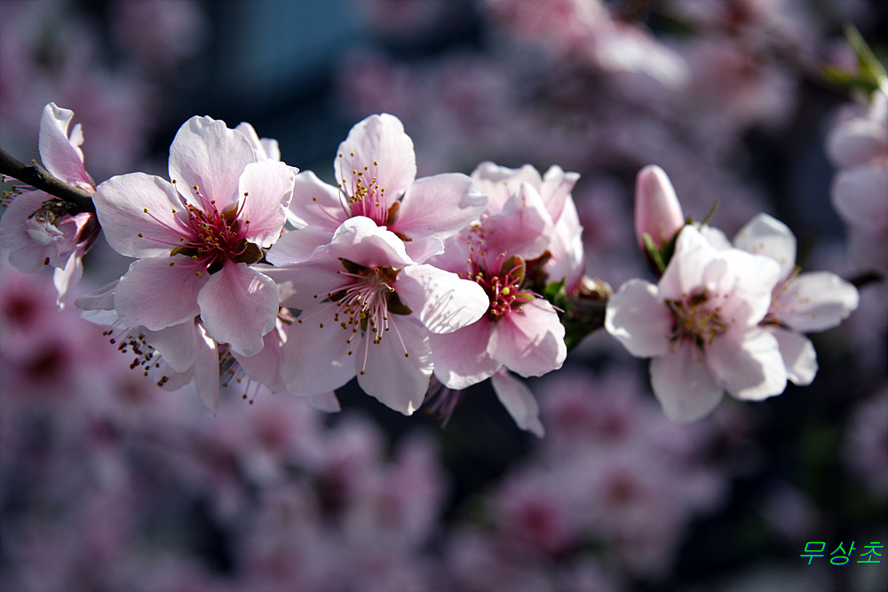 ����ũ��� ����